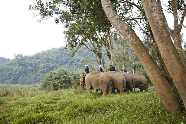 Hotel Anantara Golden Triangle Elephant Camp & Resort (Chiang Saen)